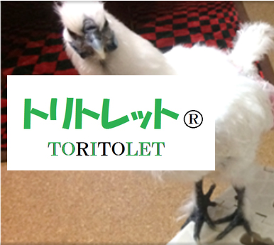 toritolet